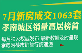 2018年孝感7月新房成交1063套