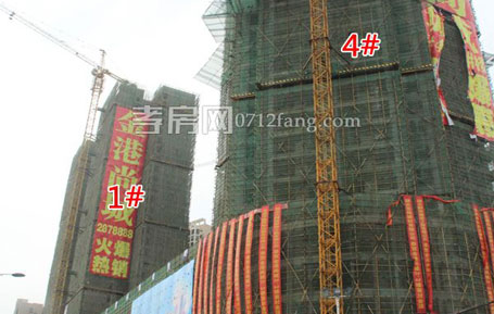 金港尚城