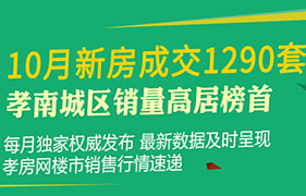 2018年孝感10月新房成交1290套