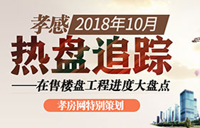 2018年10月热盘追踪 在售楼盘进度大盘点 