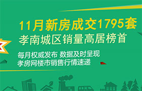 2019年孝感11月新房成交1795套