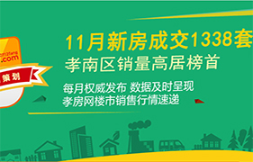 2020年孝感11月新房成交1338套