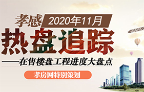 2020年11月热盘追踪 在售楼盘进度大盘点 