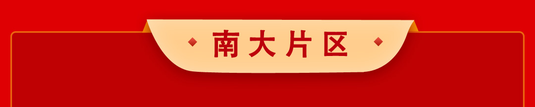 南大片区